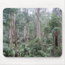 Sherbrooke Forest, Victoria, Australia mousepads