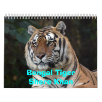 Shere-Khan Calendar, Bengal TigerShere Khan