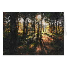 Sherwood Forest Sunset Greeting Cards