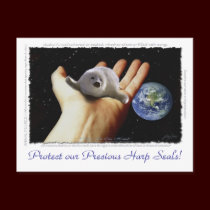SHE'S IN OUR HANDS Earth Day Postcards