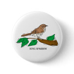 Shetha Sparrow Pins