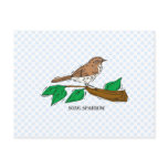 Shetha Sparrow Post Cards