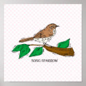 Shetha Sparrow