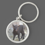 SHETLAND LAMB keychains