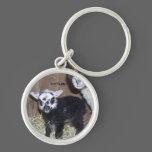 SHETLAND LAMB keychains