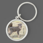 SHETLAND LAMB keychains