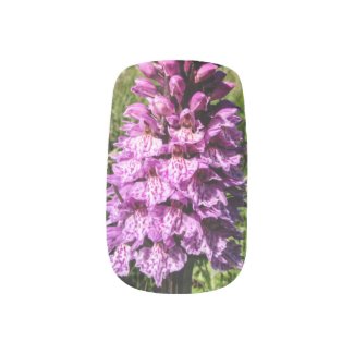 Shetland Orchid Nail Art Minx® Nail Wraps