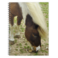 Shetland Paint Pony Grazing Notebook