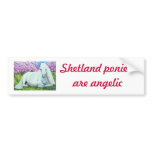 , Shetland ponies are angelic Bumper Sticker