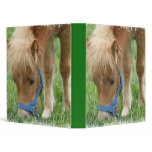 Shetland Pony Binder