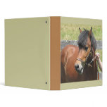 Shetland Pony Binder