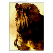 Shetland Pony cards by plunket Shetland Pony cards