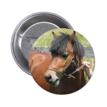 Shetland Pony Design Button
