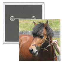 Shetland Pony Design Square Button