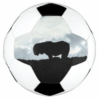 Shetland pony football soccer ball