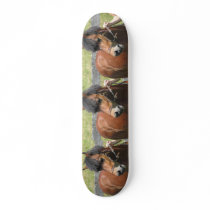 Shetland Pony Skateboard