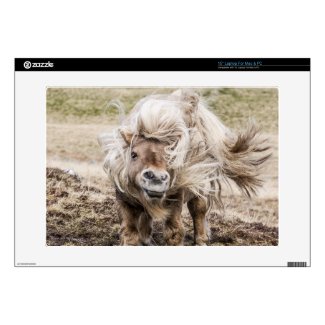Shetland pony stallion laptop case laptop skin