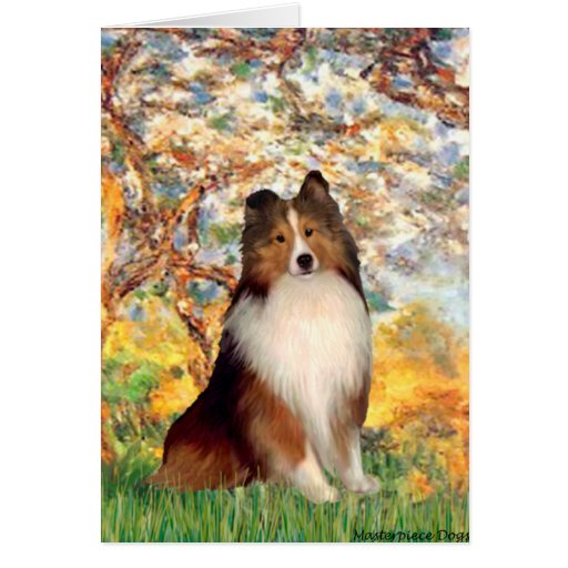 Shetland Sheepdog 1 - Spring Cards