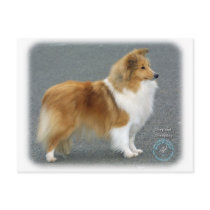 Shetland Sheepdog 8R003D-12 postcards