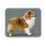 Shetland Sheepdog 8R003D-12 Postcards