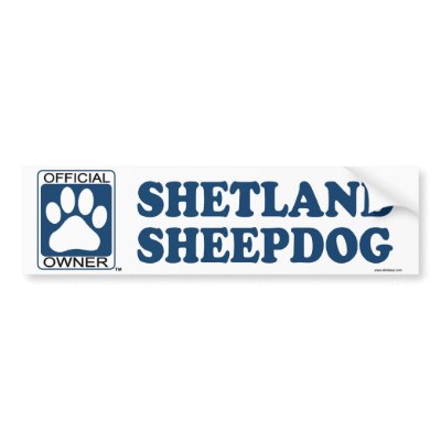 SHETLAND SHEEPDOG_Blue Bumper sticker by GenuineDogOwner