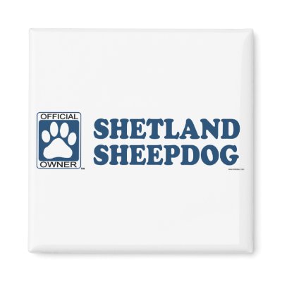 SHETLAND SHEEPDOG_Blue Magnet by GenuineDogOwner