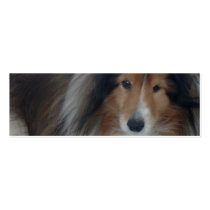 Shetland Sheepdog Bookmark business cards