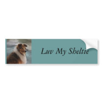 Shetland Sheepdog bumper stickers by Cazzies_Creations Shetland Sheepdog bumper stickers