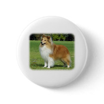 Shetland Sheepdog buttons by TraffordPhotos Shetland Sheepdog buttons