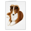 Shetland Sheepdog cards