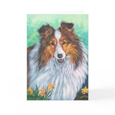 Shetland Sheepdog Greeting Cards by Dogartist