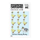 Shetland Sheepdog Herding Ducks Postage Stamps