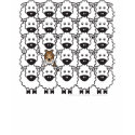 Shetland Sheepdog in the Sheep t-shirts