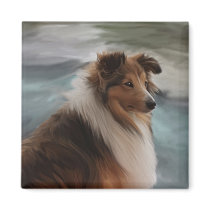 Shetland Sheepdog magnets
