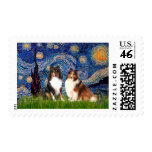 Shetland Sheepdog Pair - Starry Night Postage Stamp
