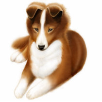 Shetland Sheepdog Pin photo sculptures