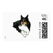 Shetland Sheepdog postage