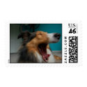 Shetland Sheepdog postage by elisabethkonopacki Shetland Sheepdog postage