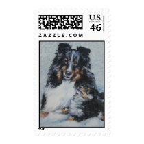 Shetland Sheepdog postage stamp