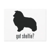 Shetland Sheepdog Postcards