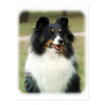 Shetland Sheepdog Postcards