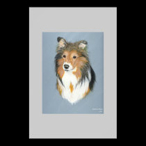 Shetland Sheepdog  posters