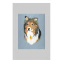 Shetland Sheepdog posters by ArtByKimberley Shetland Sheepdog posters