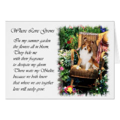 Shetland Sheepdog Sheltie Art Gifts card