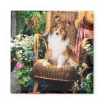 Shetland Sheepdog Sheltie Art Gifts Fridge Magnets
