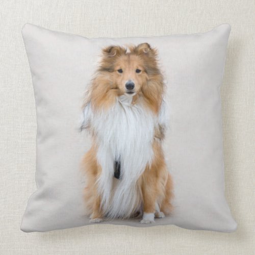 sheltie pillow