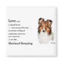 Shetland Sheepdog Sheltie Gifts magnets by DogsByDezign Shetland Sheepdog Sheltie Gifts magnets