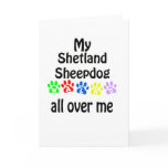 Shetland Sheepdog Walks Design