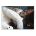 Shhh... It's A Surprise Party Cat Card