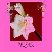 SHHH WHISPER t-shirts